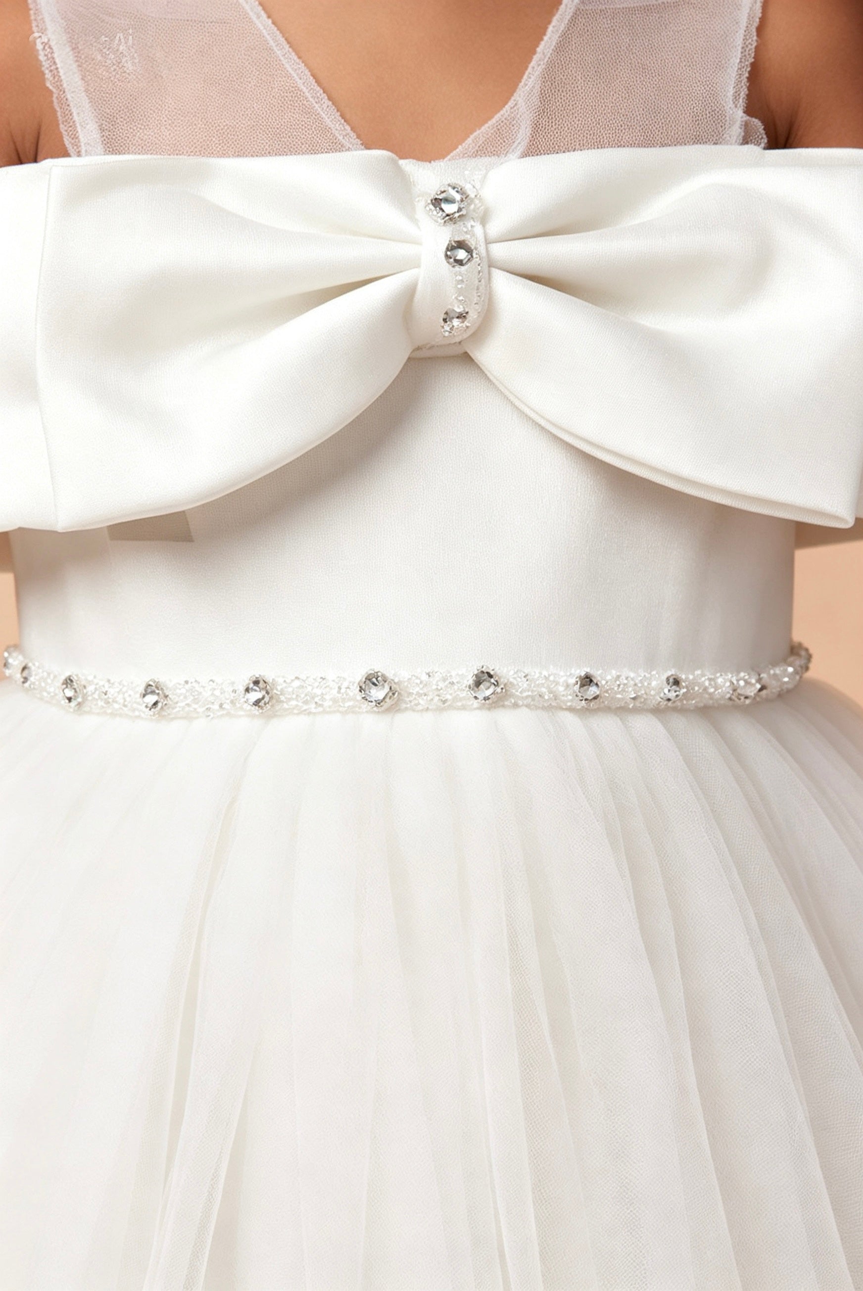 The Angel Wings Dress